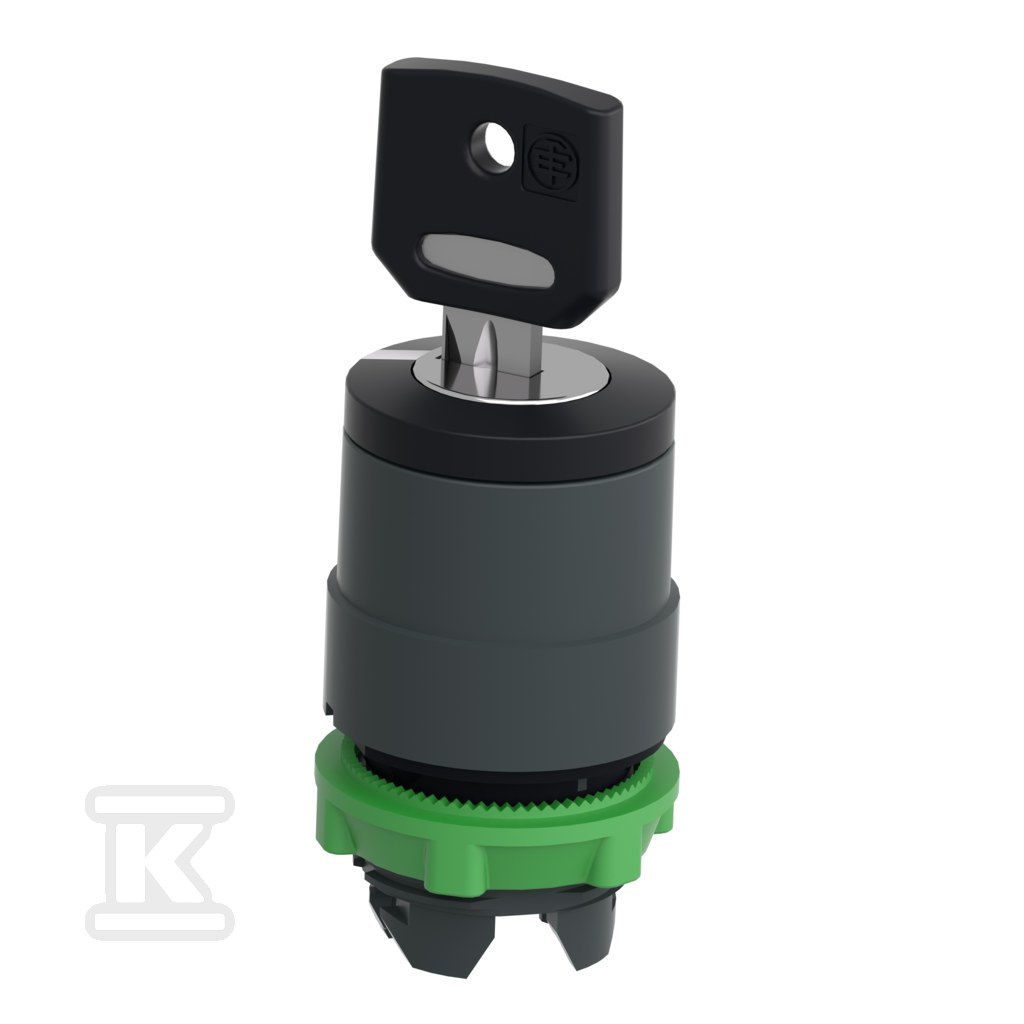 Interruptor de 2 posições com chave - ZB5AG4